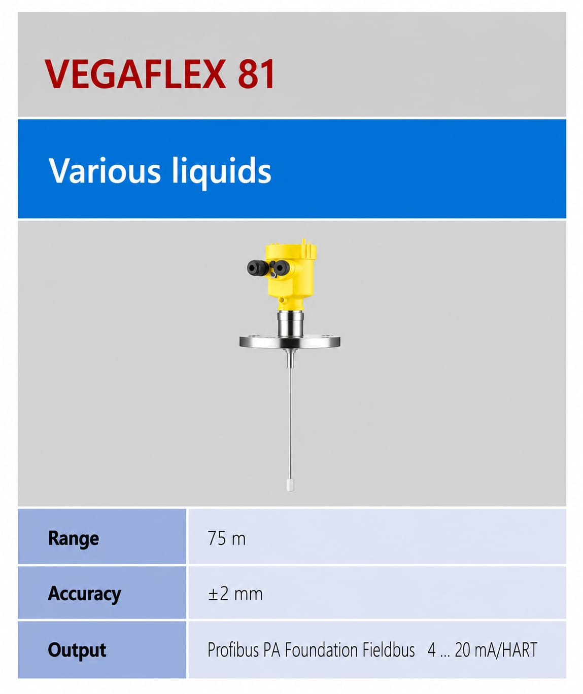 VEGAFLEX 81 ເຄື່ອງວັດລະດັບ Guided Wave Radar