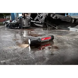 USB Rechargeable 800L Compact Flashlight