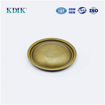 43442-0K010 Front Axle Outer Shaft Flange Cap Seal for Toyota Auto Parts EZ9053A