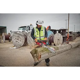 20" .325" Pitch, .050" Gauge Guide Bar