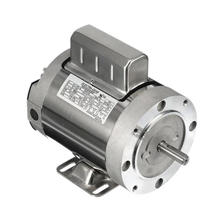 Regal Rexnord Boat Hoist Motors