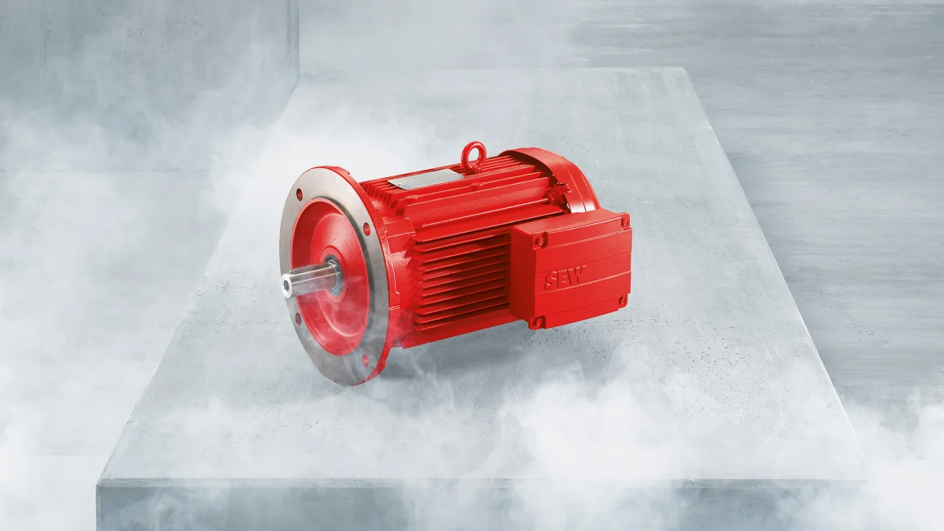 EDR.. explosion-protected AC motors