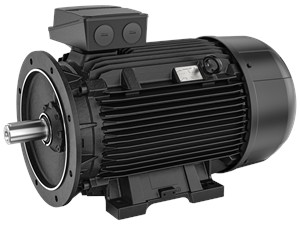 Standard motors only for use with VFD