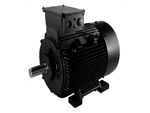 Other standard motor