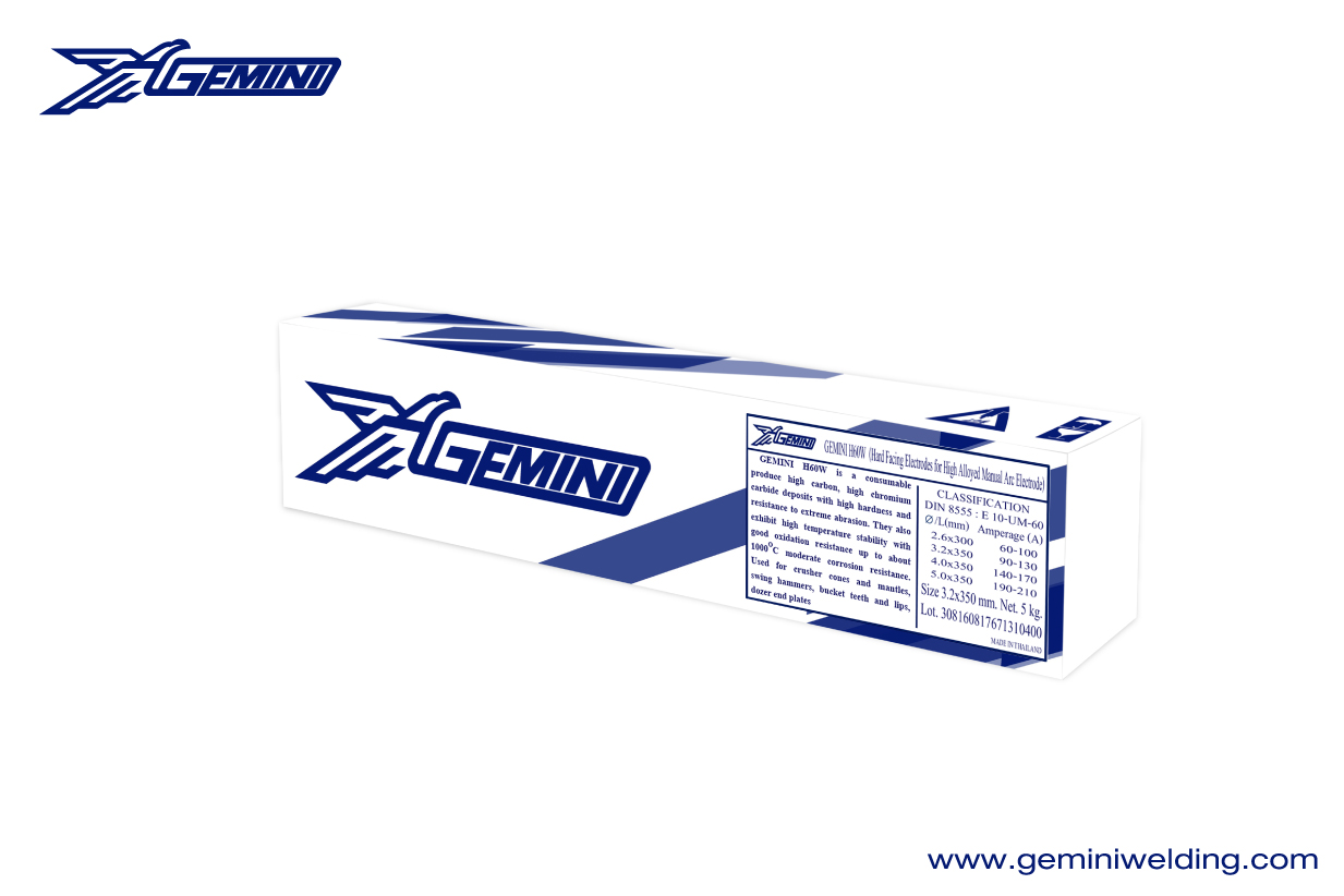Gemini H67W