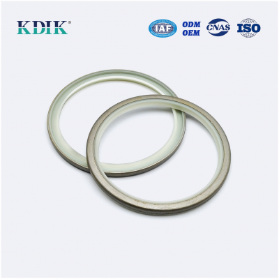 TH102446 or 4067902 Dust Seal For New John Deere 80*95*5mm