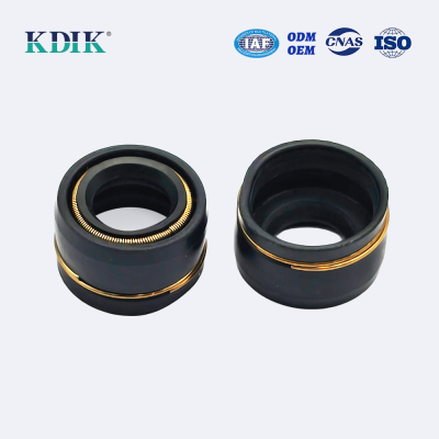 Valve Stem Seal 286-1004262 Oil Seal Double Spring Guide Rail China Manufacturer