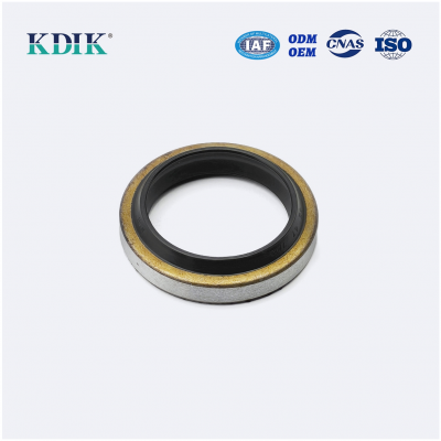 OEM AR2041E5 Specification Dust Seal DKB 35*47*7*10mm KDIK