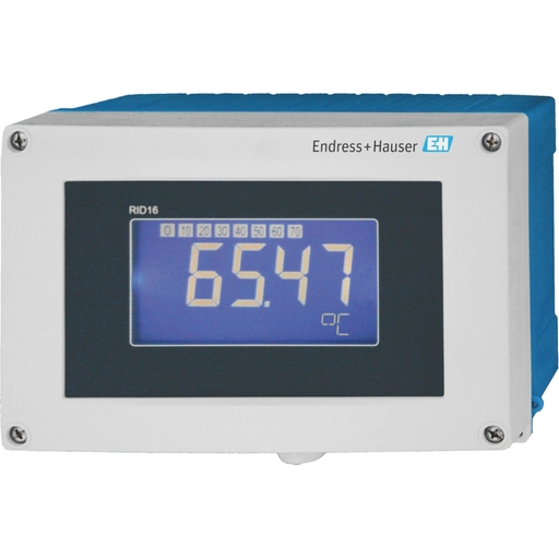 Fieldbus Indicator RID16