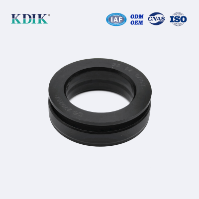 TC Type Rotary Shaft Seal Double Lip W/Spring DQ3657AP 55*100*12/20 Oil Seal Skeleton Seal Parts