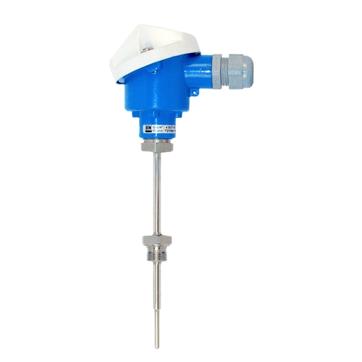 RTD Thermometer TST40N