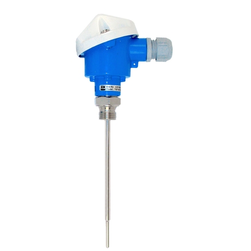 RTD Thermometer TST41N
