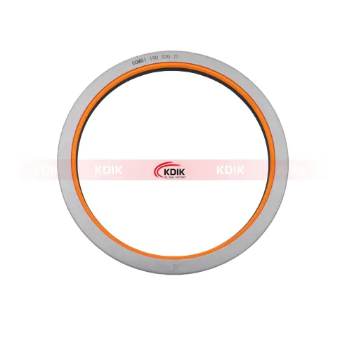 NBR Shaft Seal COMBI 190*220*20 12001926B For DANA 3019960X1,LANDINI 3019960X1,MASSEY FERGUSON 3019960X1,MC CORMICK 3019960X1,NEW HOLLAND 5133736