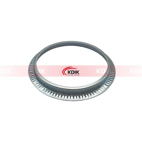 DT Spare Parts 5.20041 ABS ring Size 169*183/212*18 For DAF 1657638 1805824 ZG.50021-0008 Oil Seal